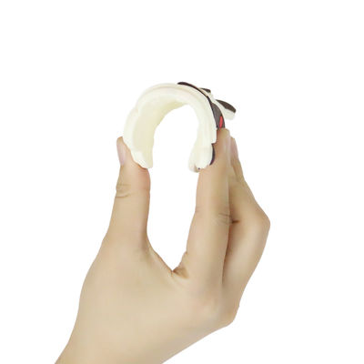 Miếng dán silicon được cá nhân hóa cho bé đầy màu sắc với hình dạng cừu ngựa Dino