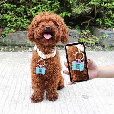 Bán lẻ MOQ thấp Giá rẻ khác nhau hình dạng nhiều màu sắc cho tùy chọn silicone trống thẻ chó tên thẻ ID
